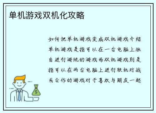 单机游戏双机化攻略